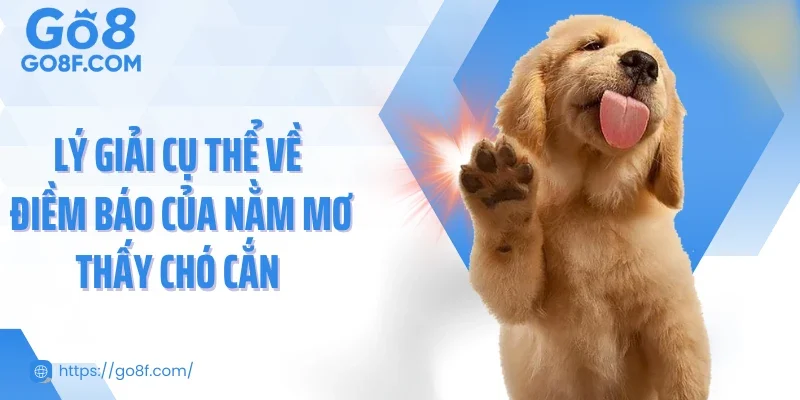 Lý giải cụ thể về điềm báo của nằm mơ thấy chó cắn